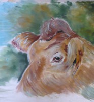 /album/galerie-de-photos-brezh-mouetton-armoricain/toile-vache-campa-jpg/